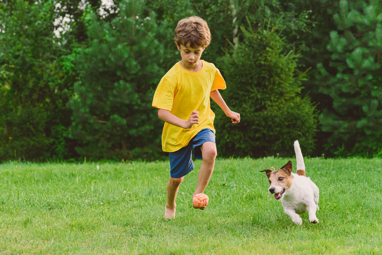 pets instead of kids